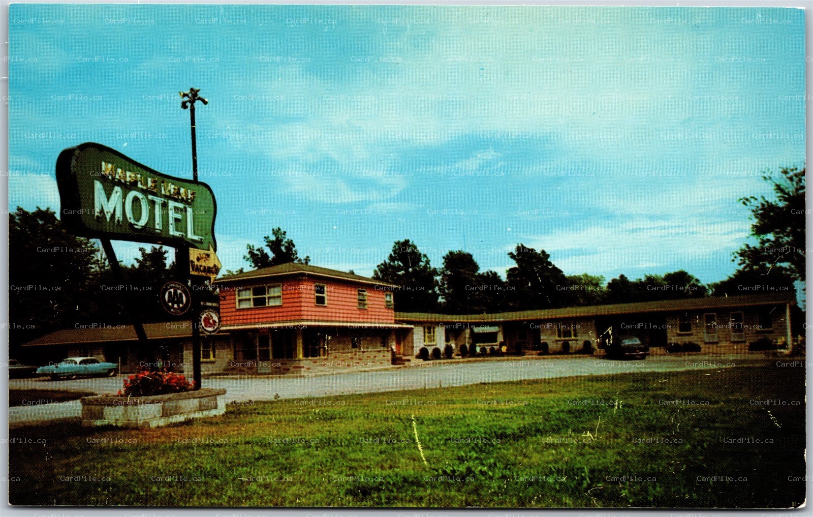Postcard Smith Falls Ontario c1970s Maple Leaf Motel Highway 15 Lanark County