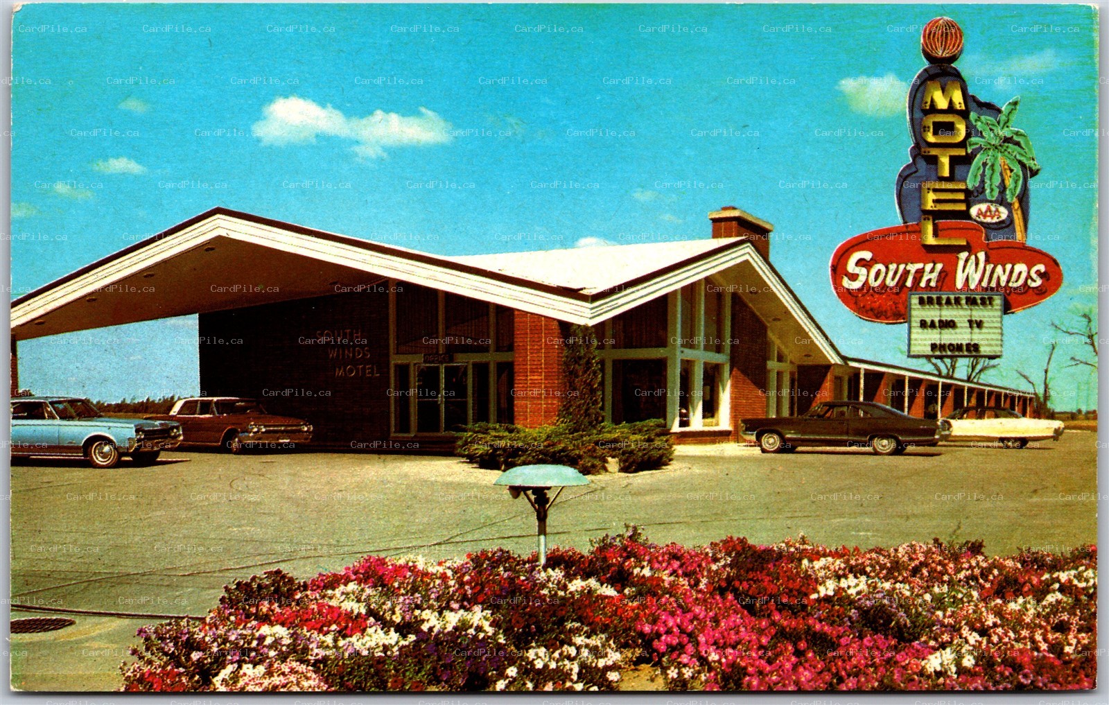 Postcard London Ontario c1973 South Winds Motel Old Cars Neon Sign MDX