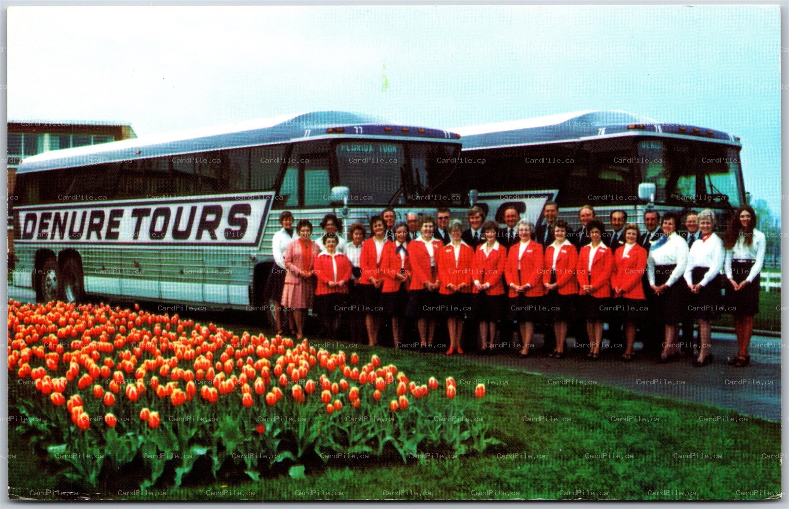 Postcard Lindsay Ontario Denure Tours Ltd. Advertising Motorcoach Bus