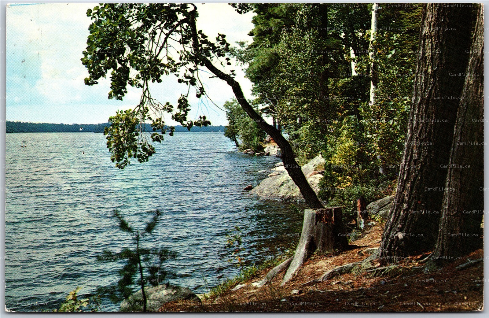 Postcard Spring Bay Ontario c1973 Long Bay Lodge Beach Fishing Scenic View