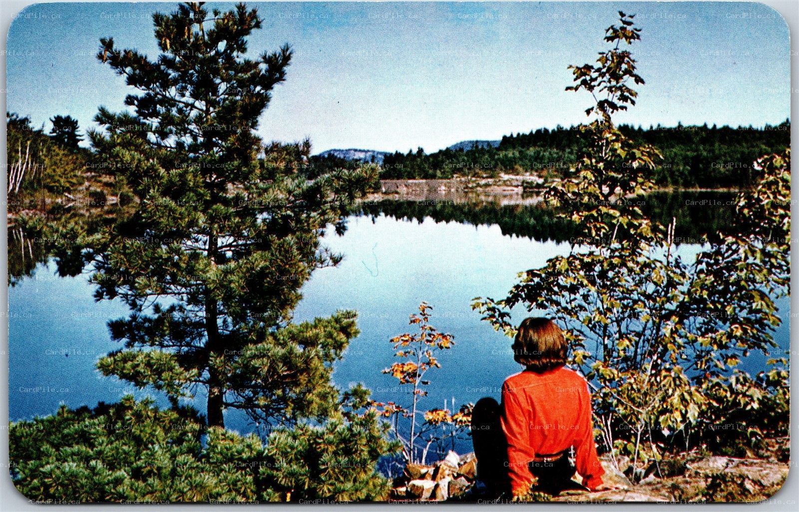 Postcard Greeings From Blind River Ontario Scenic Lake View Algoma District A
