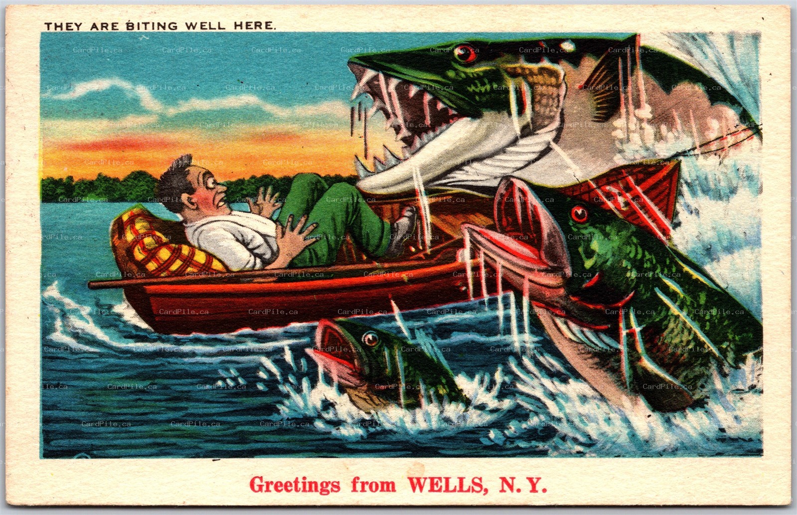 Postcard c1955 Greetings From Wells New York Freak Fish Comic Exaggerated B