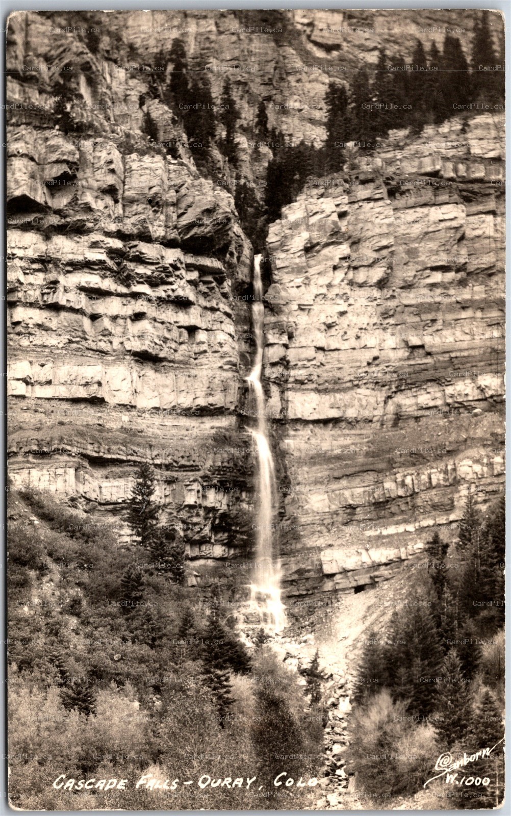 Postcard RPPC c1940s Ouray Colorado Cascade Falls Scenic View Sanborn W1000
