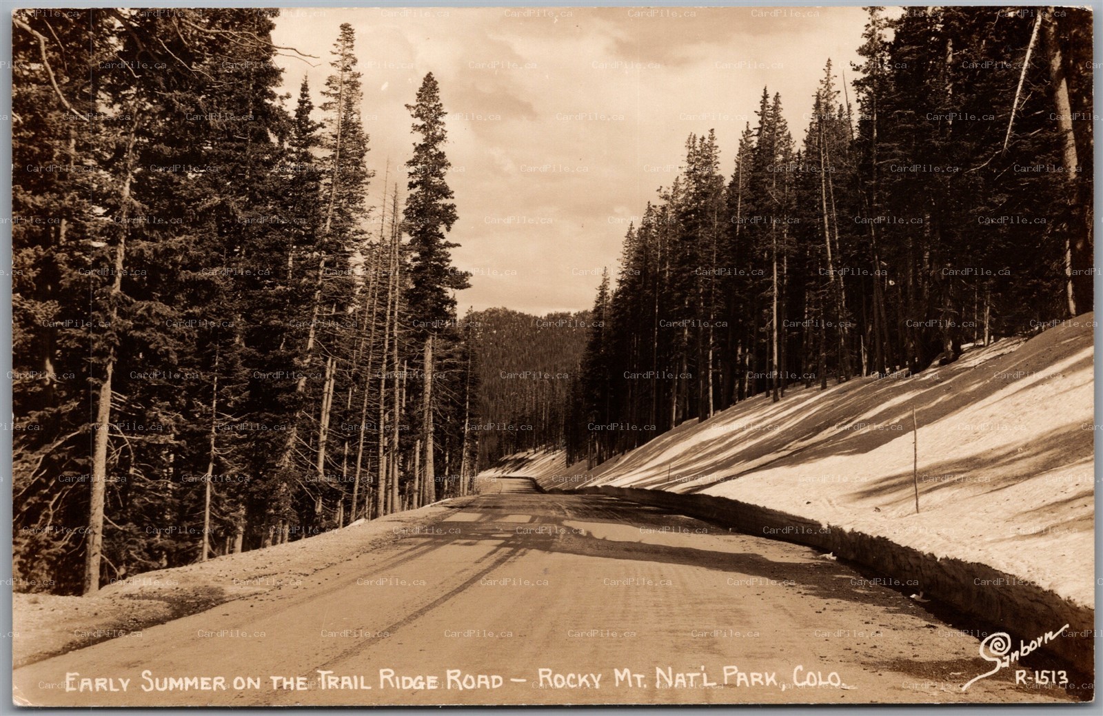 Postcard RPPC 1940s Rocky Mt. Nat'l Park Colorado Trail Ridge Road Sanborn R1513