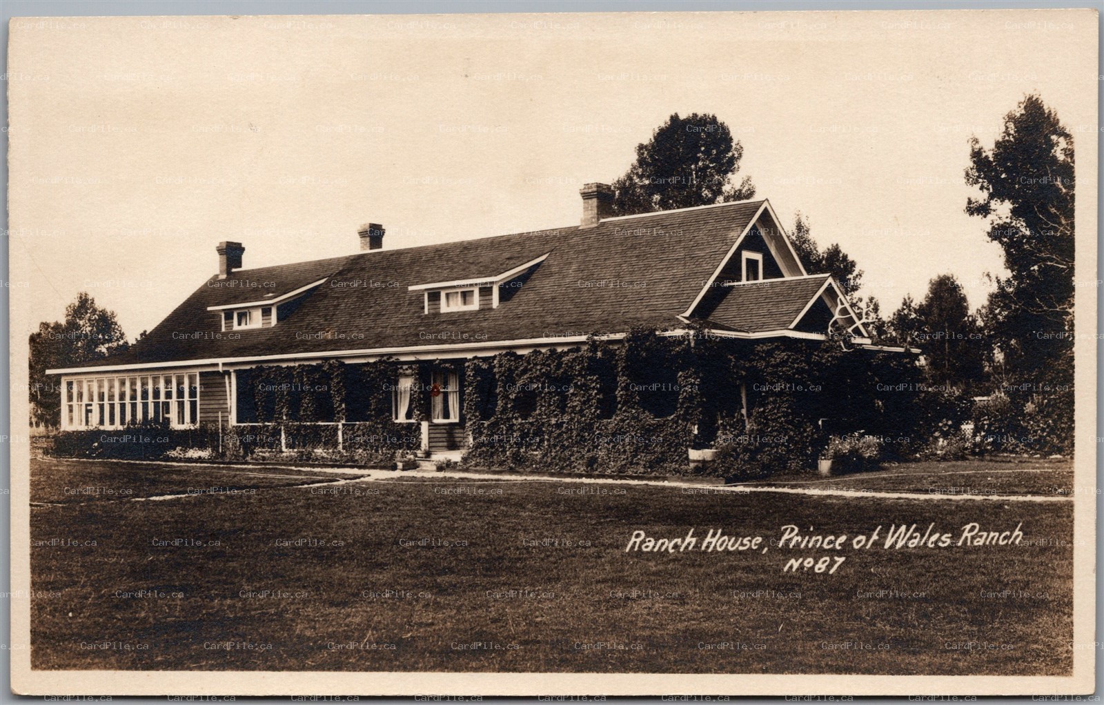 Postcard RPPC Pekisko Alberta Prince of Wales Ranch House by McDermid Drug co.