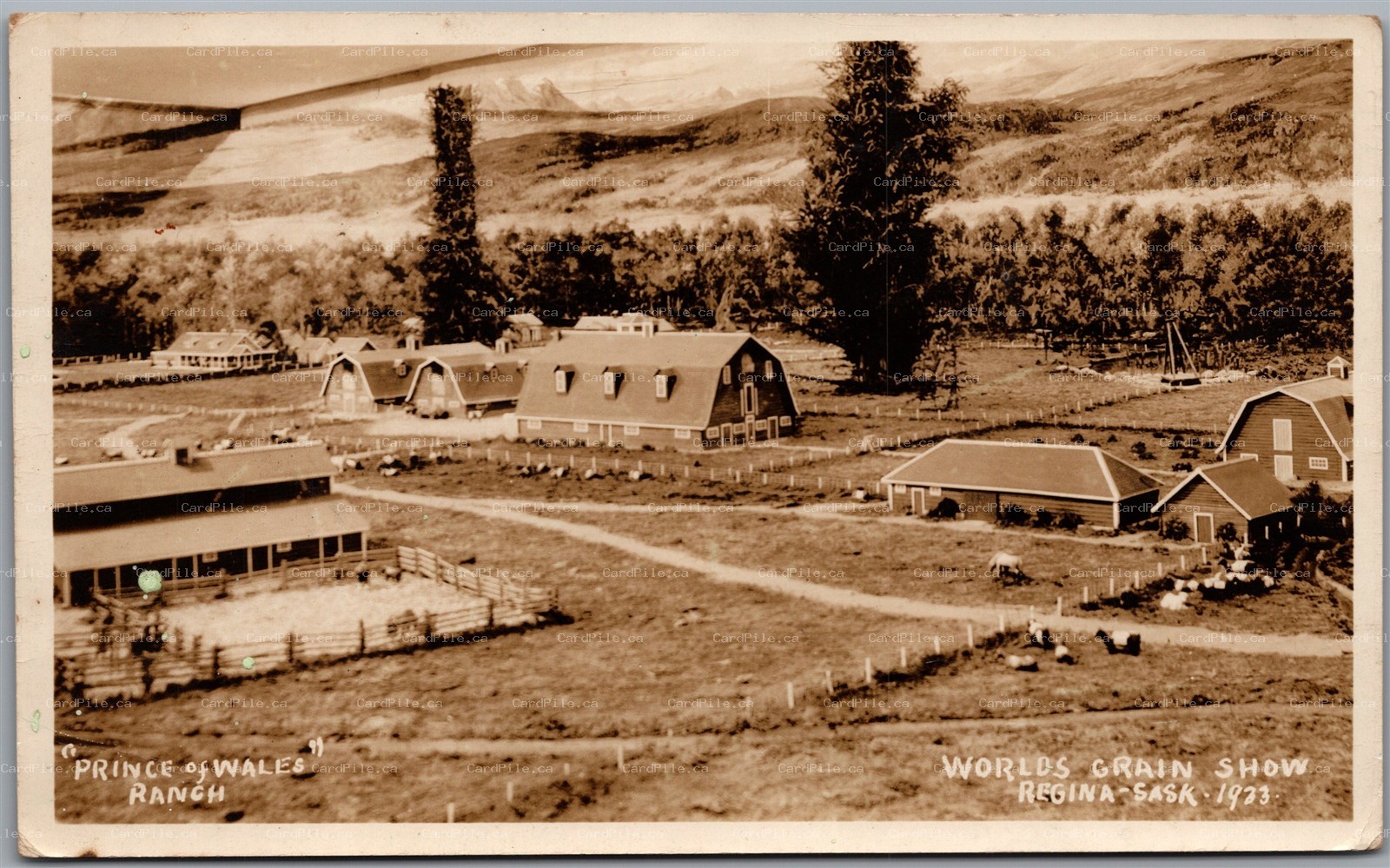 RPPC 1933 Regina Saskatchewan Worlds Grain Show Prince of Wales Ranch by REX