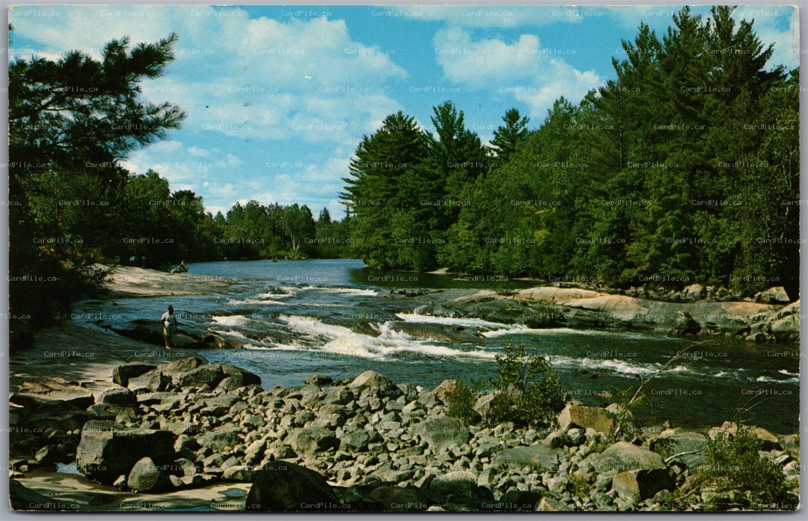 Postcard Killbear Provincial Park Ontario Holiday Greetings Scenic View PSD
