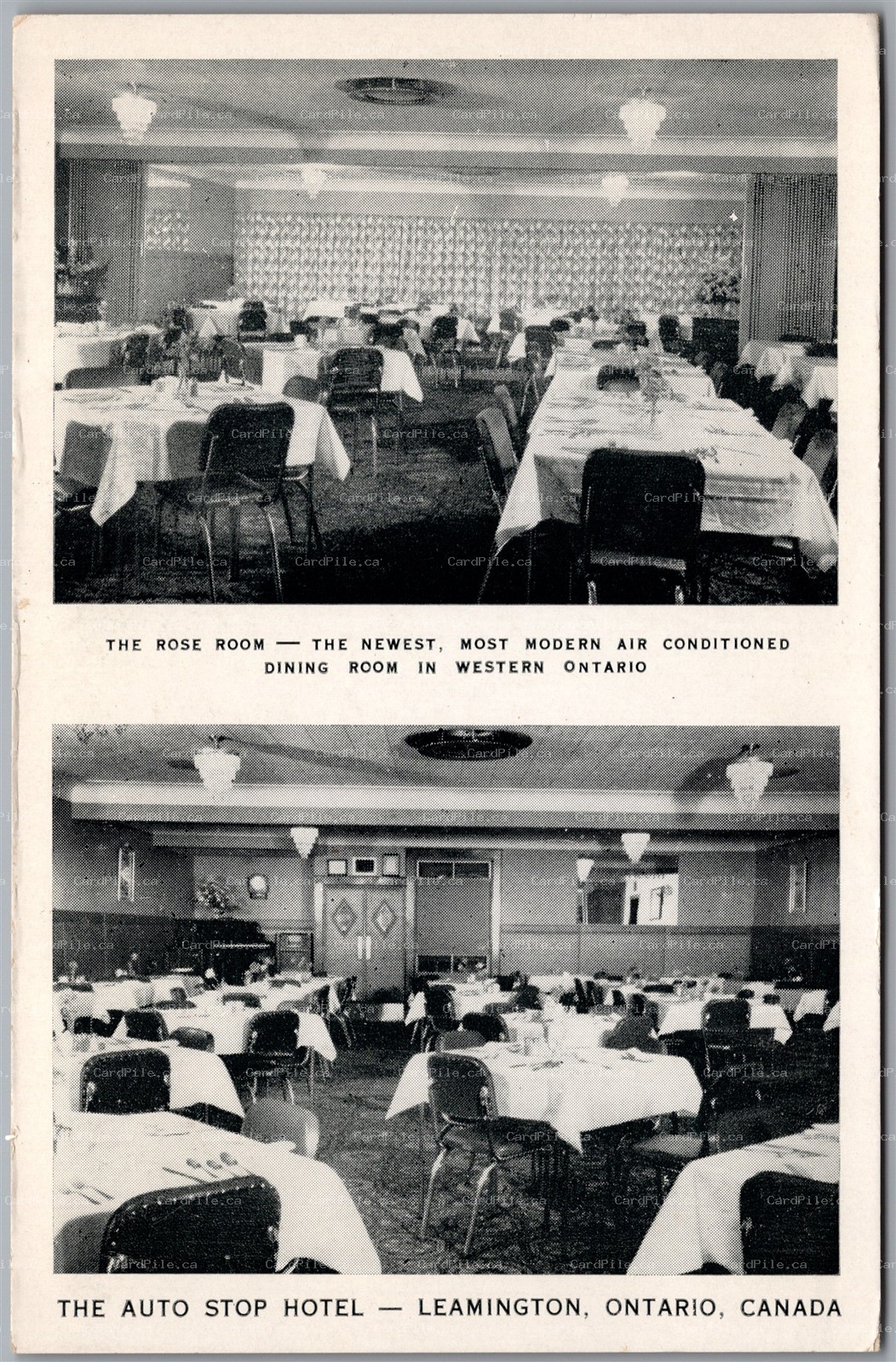 Postcard Leamington Ontario The Auto Stop Hotel The Rose Room Interior Dual View