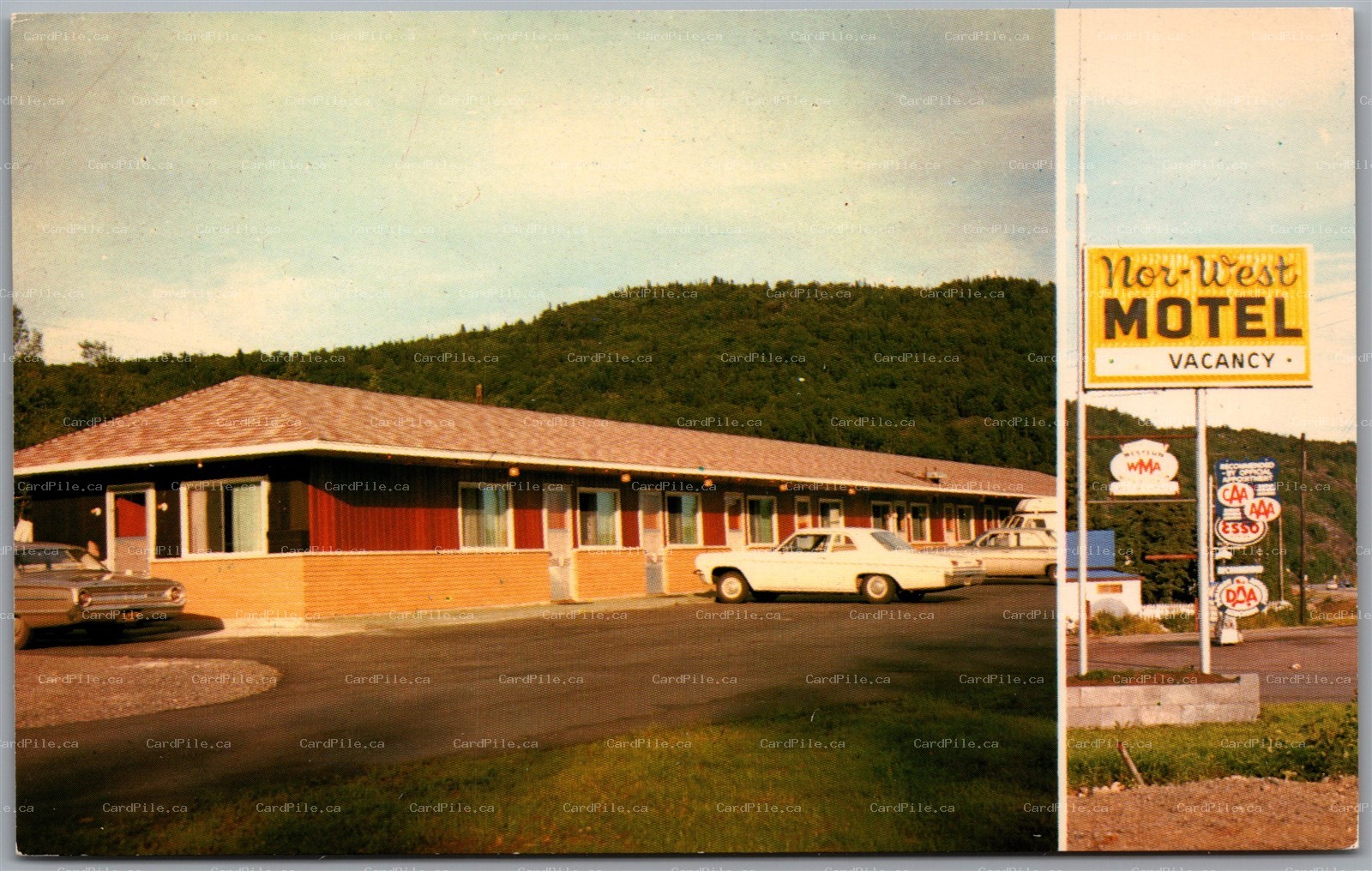 Postcard Schreiber Ontario Nor-West Motel Highway 17 Old Cars Esso Dual View THB