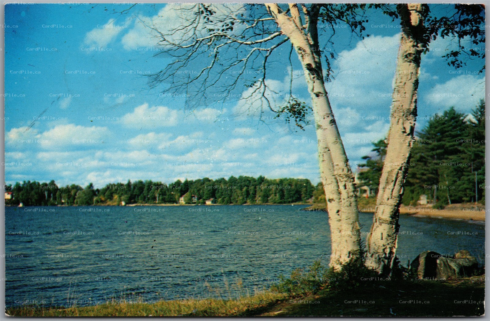 Postcard c1964 Greetings from Binning's Drug Store New Hamburg Ontario