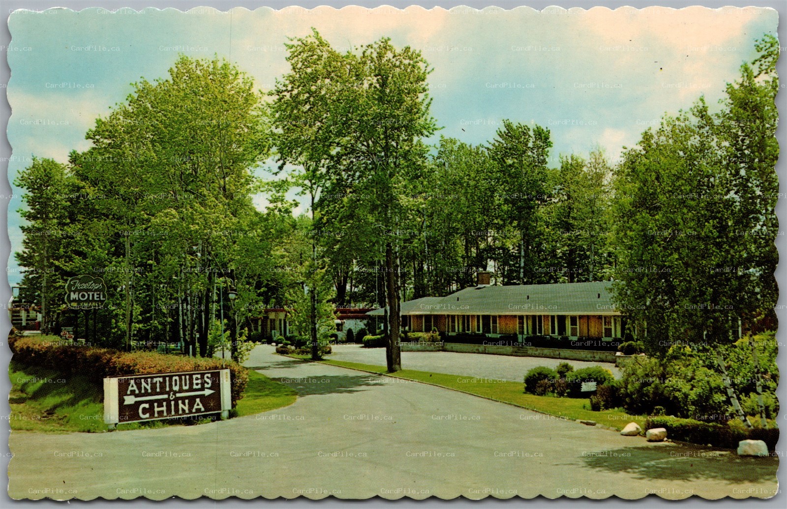 Postcard Cornwall Ontario Treetops Motel & Restaurant Hwy 2 Antiques China
