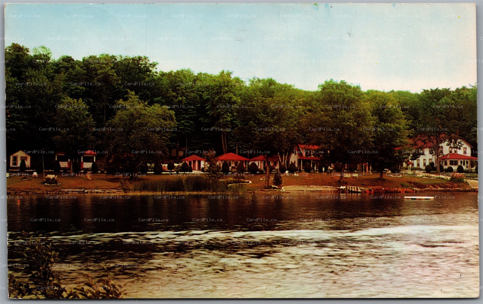 Postcard Burleigh Falls Ontario c1964 Forest Hill Lodge Lovesick Lake Kawarthas