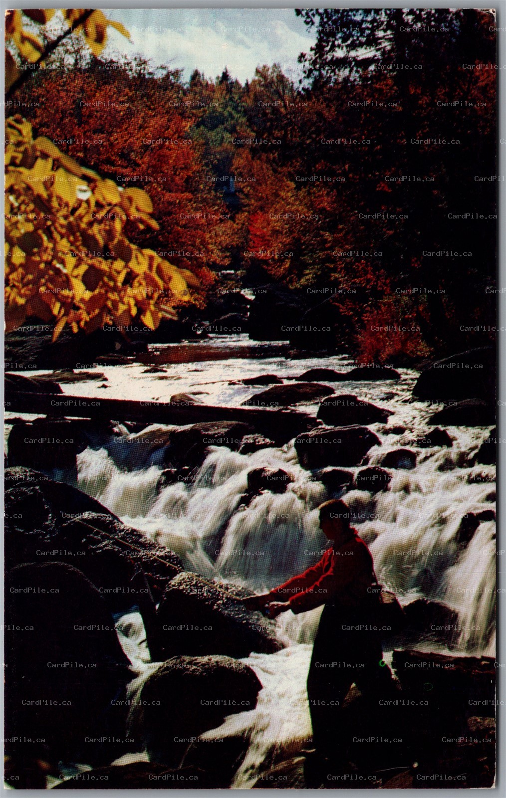 Postcard Moberly Ontario c1960s Garbutt's Tourist Camp Silver Fishing