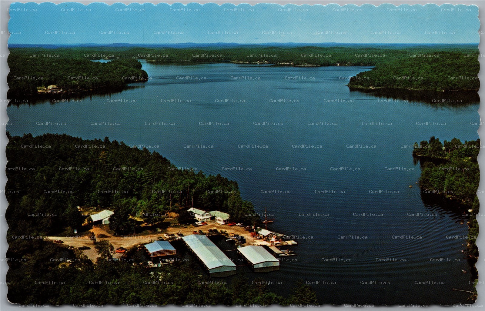 Postcard Apsley Ontario c1960s Copland's Marina Aerial View Anstruther Lake