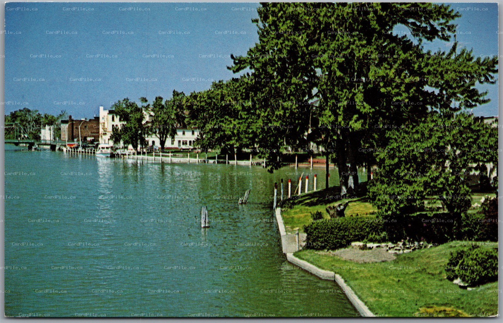 Postcard Wallaceburg Ontario View of North East Branch Sydenham River