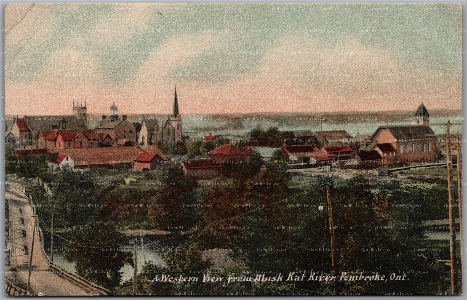 Postcard Pembroke Ontario 1910s A Western View From Muskrat River Renfrew County