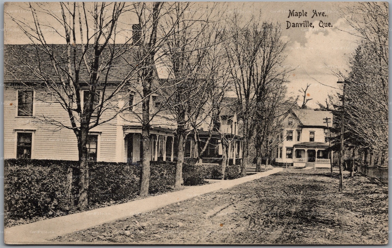 Postcard Danville Quebec c1910s Maple Avenue Houses