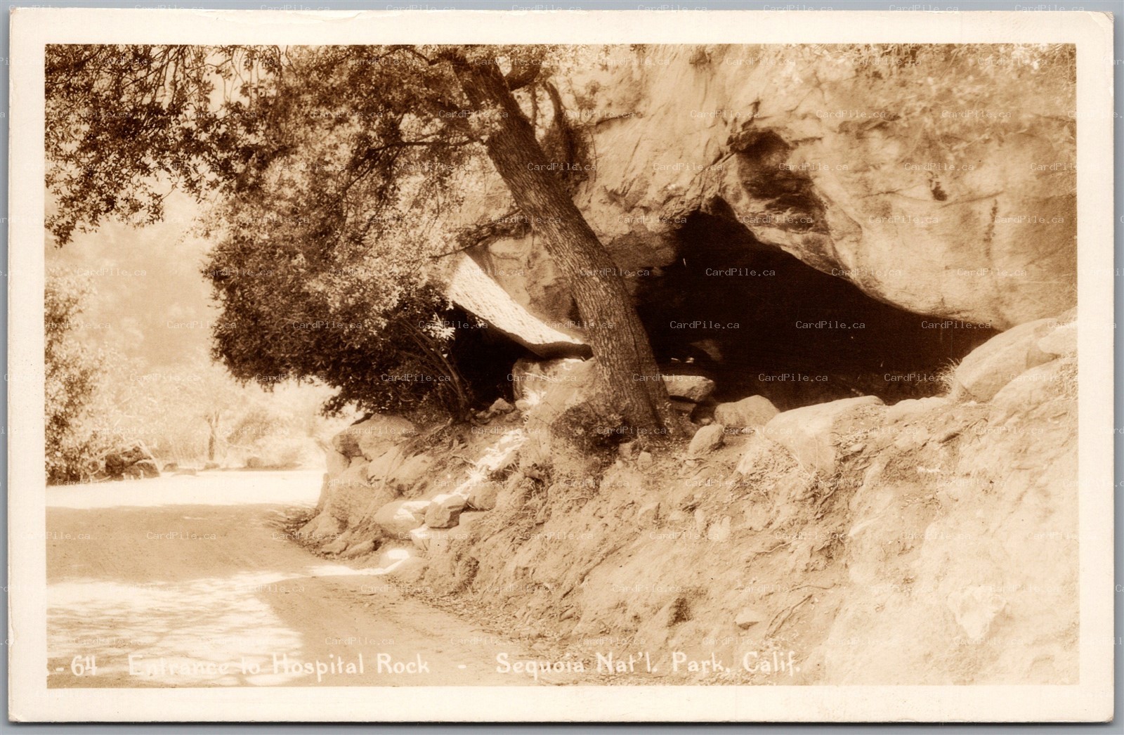 Postcard RPPC Sequoia National Park California Entrance to Hospital Rock