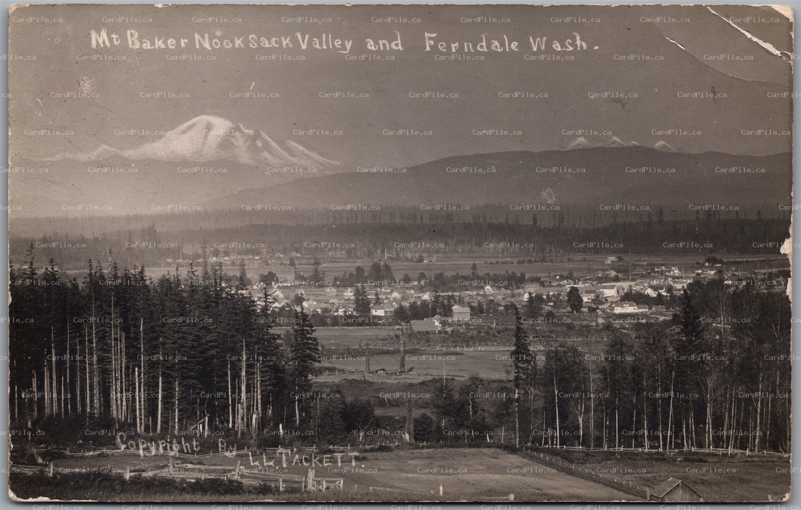 RPPC c1911 Nooksack Valley & Ferndale Washington Mt. Baker by L.L. Tackett as is