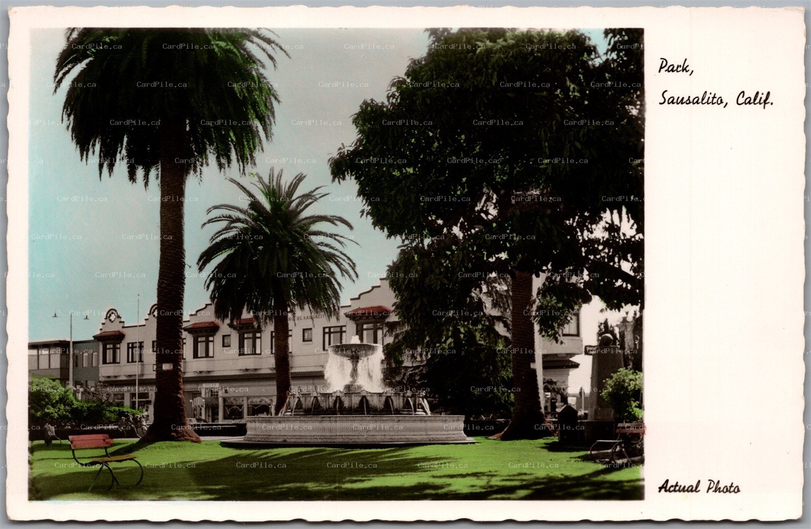 Color Photo Sausalito California c1940s Park Hotel Fountain