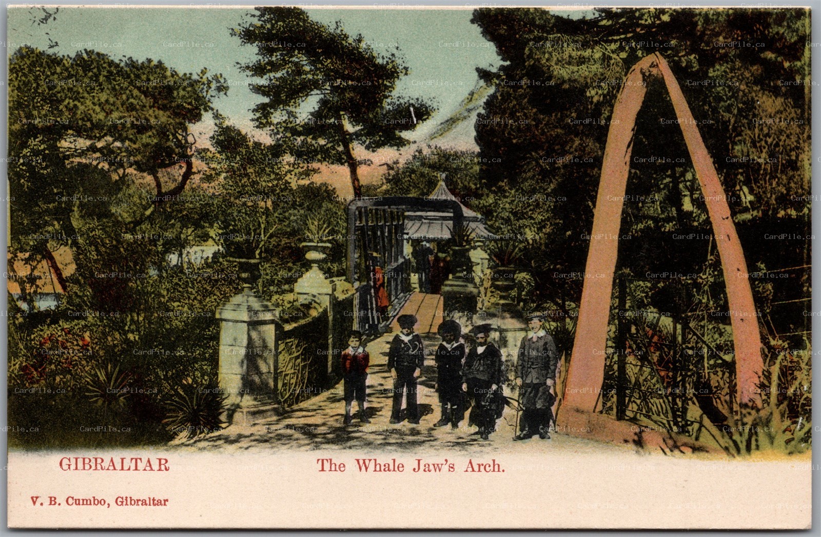 Postcard Gibraltar c1900s The Whale Jaw's Arch Alameda Gardens by V. B. Cumbo
