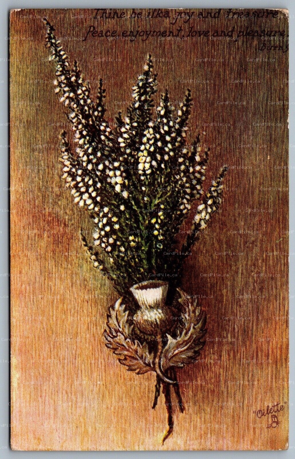 Postcard c1908 Tuck A Sprig O’ Heather Oilette 3 Ring Orb Cancel Toronto Ontario