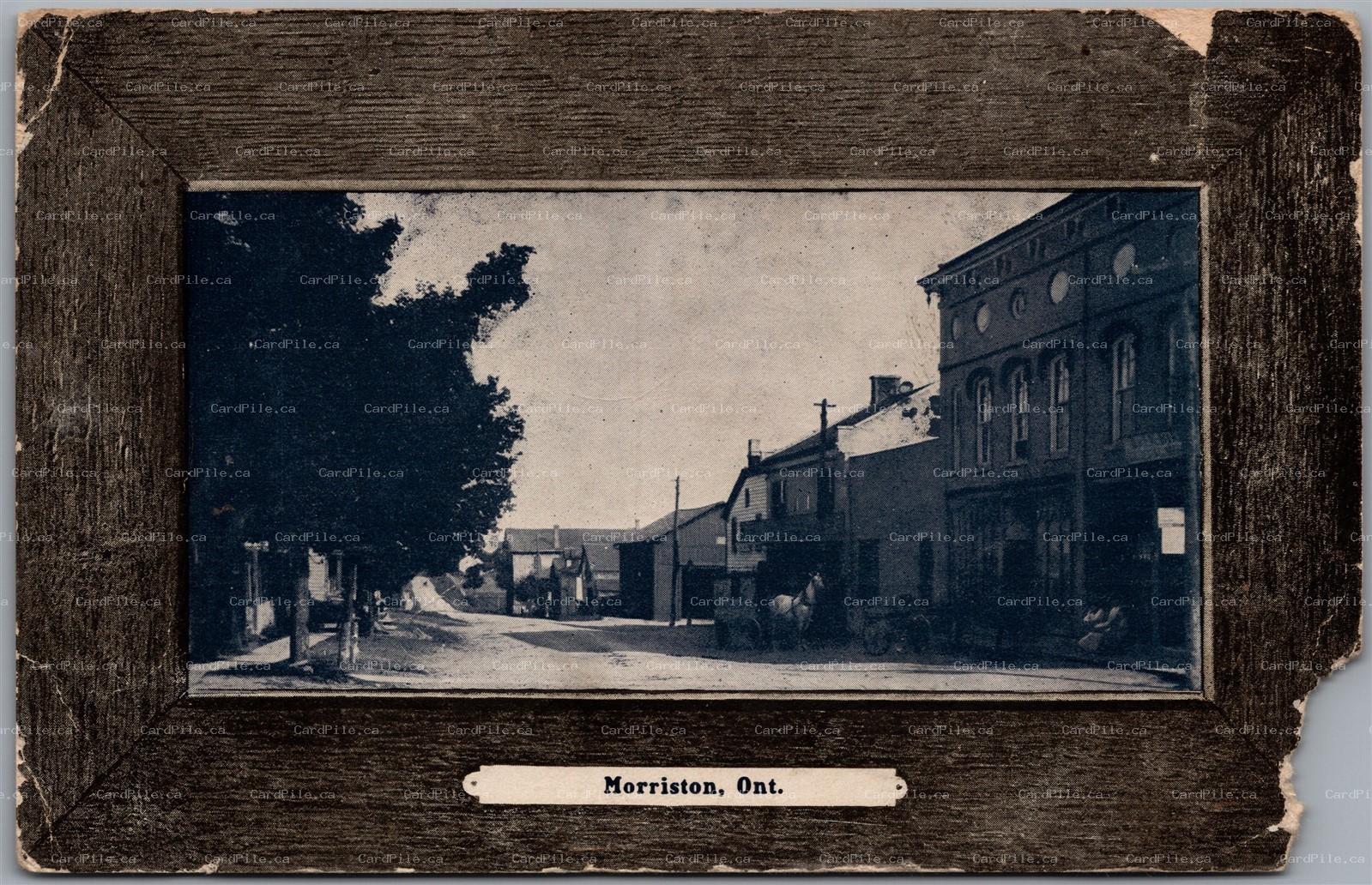 Postcard Morriston Ontario c1907 Town View Wellington County *as is*