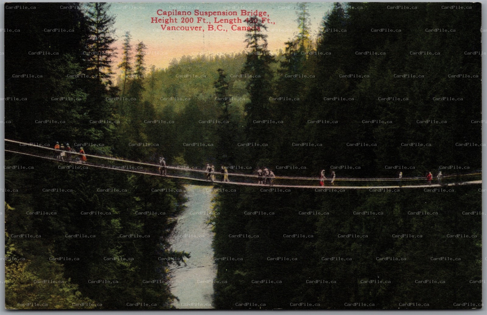 Postcard North Vancouver British Columbia c1910s Capilano Suspension Bridge