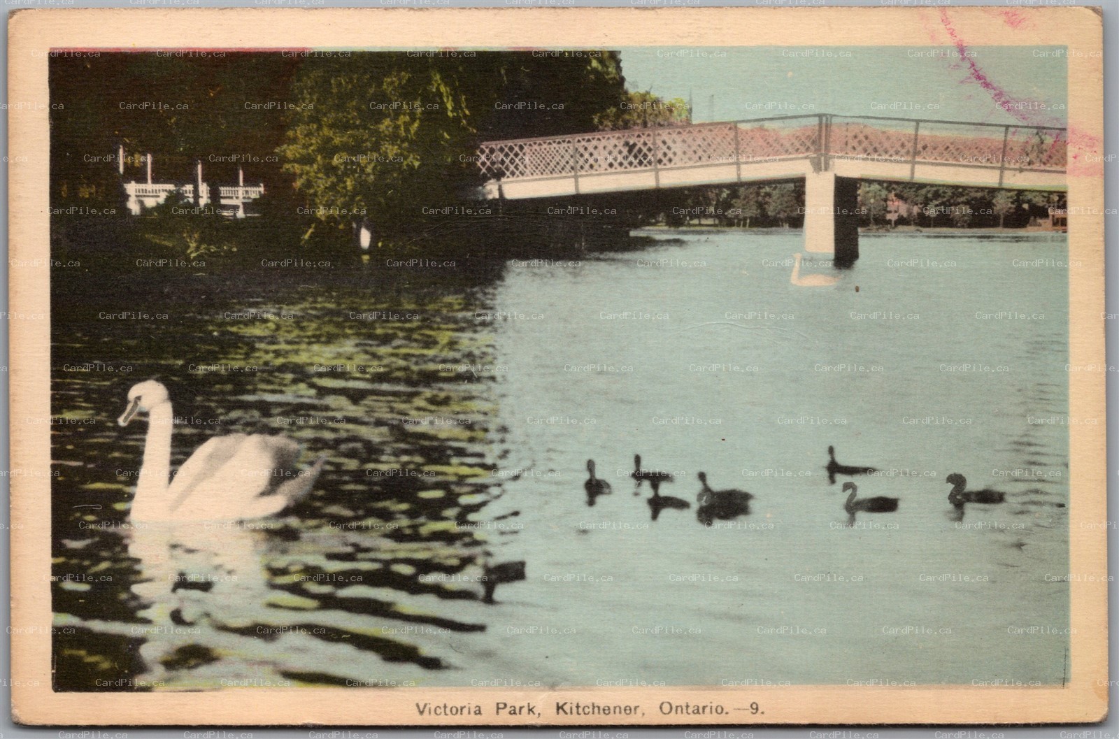 Postcard Kitchener Ontario c1940s Victoria Park Swans Bridge
