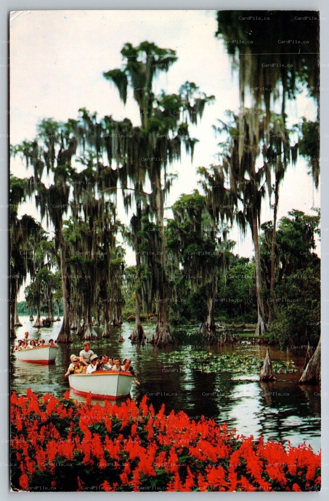 Postcard Cypress Gardens FL c1960s Sightseeing Boats 