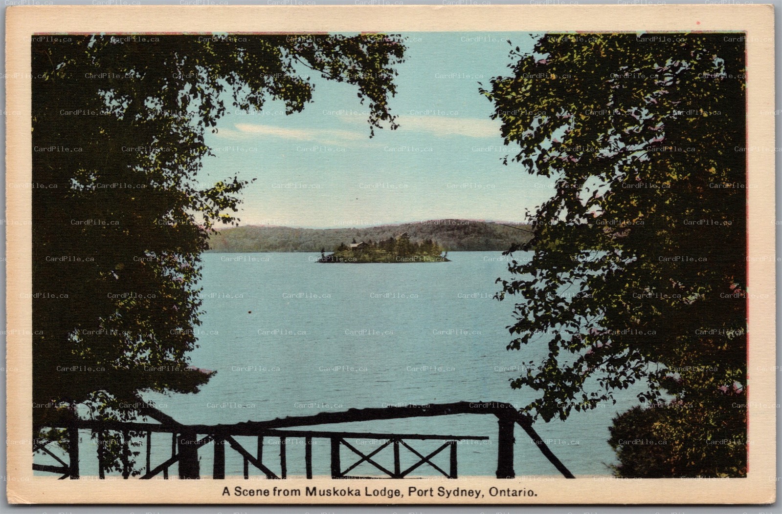 Postcard Port Sydney Ontario c1930s A Scene From Muskoka Lodge Scenic View