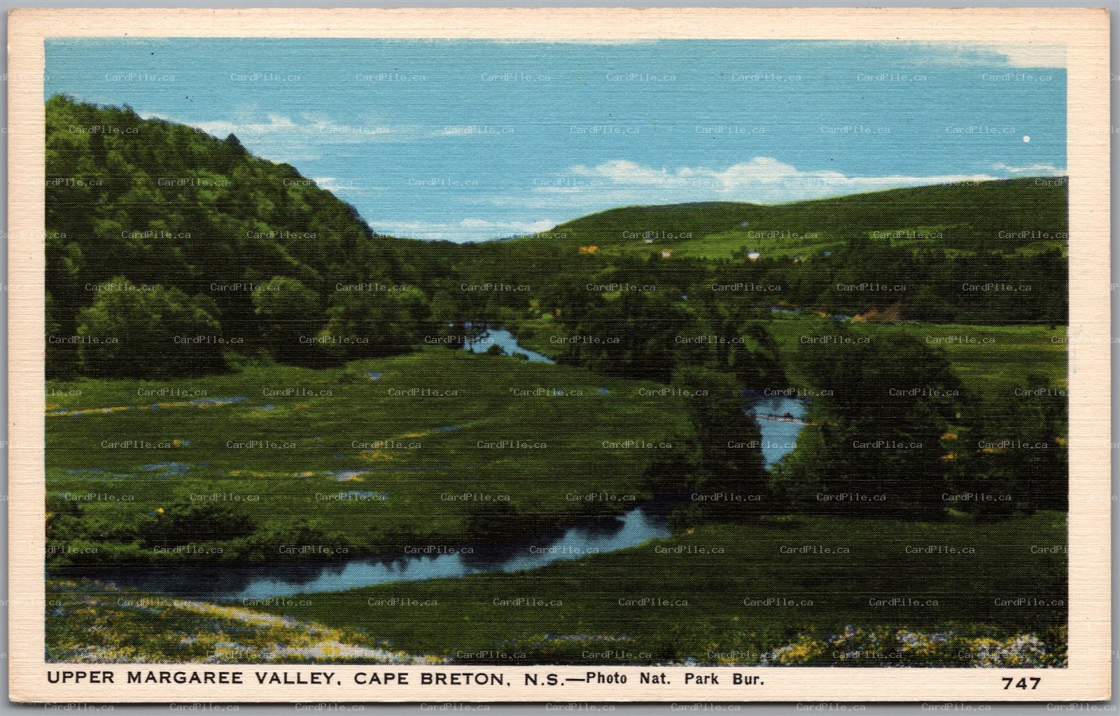 Postcard Cape Breton Nova Scotia Upper Margaree Valley Scenic View