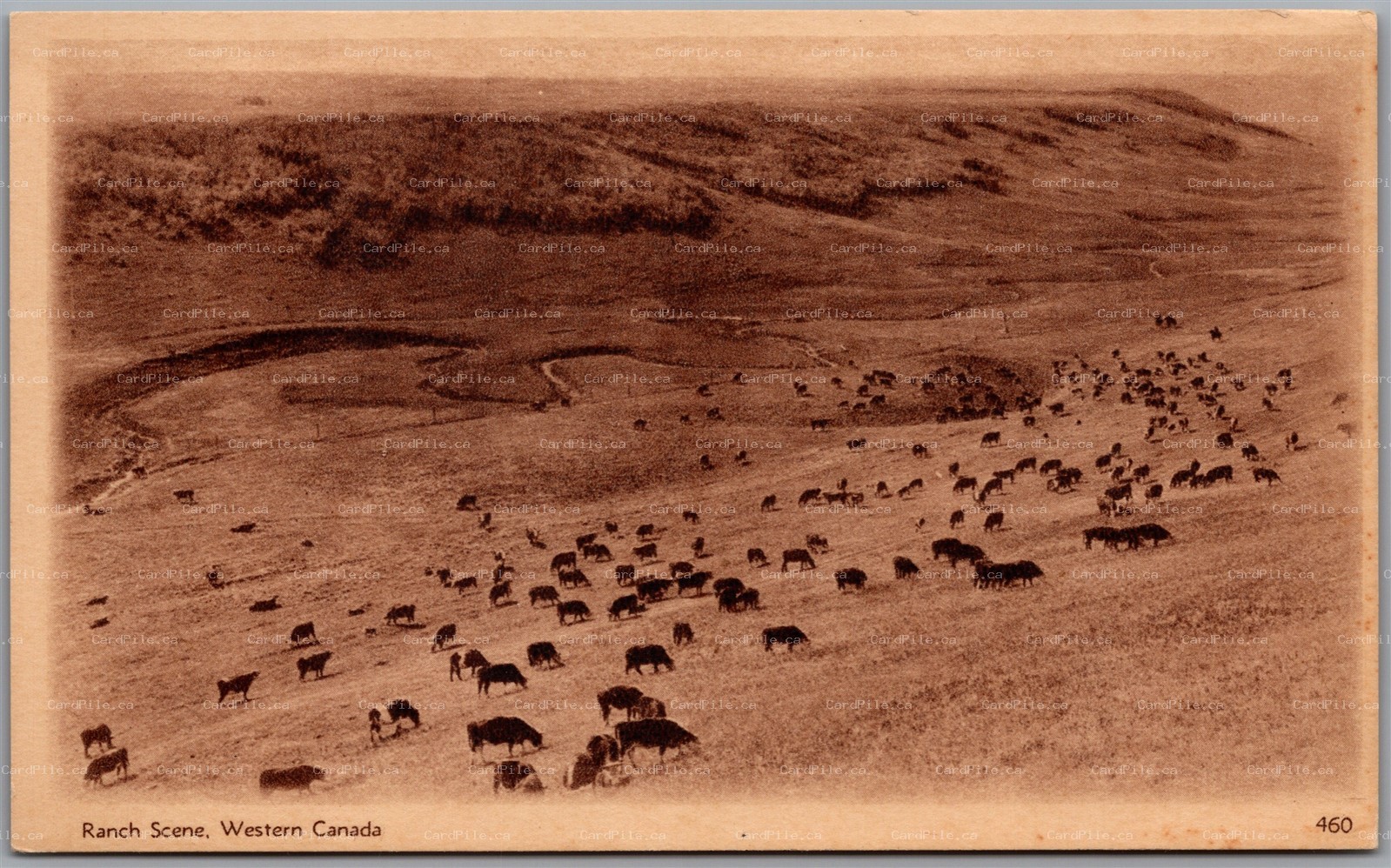 Postal Stationery c1932 Western Canada Ranch Scene 2c Brown Illustrated PSC