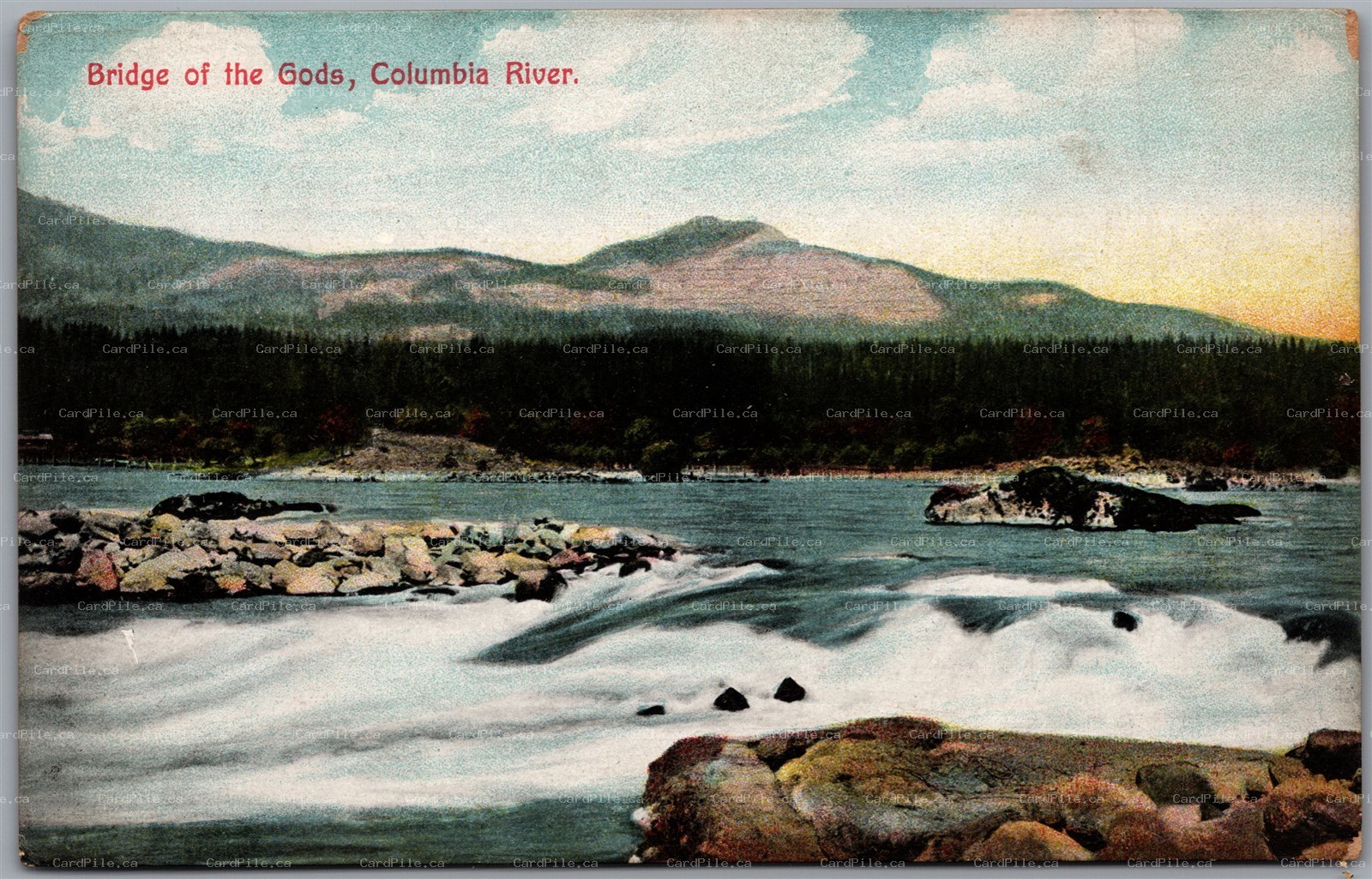 Postcard Washington & Oregon 1910s Scenic View Bridge of the Gods Columbia River