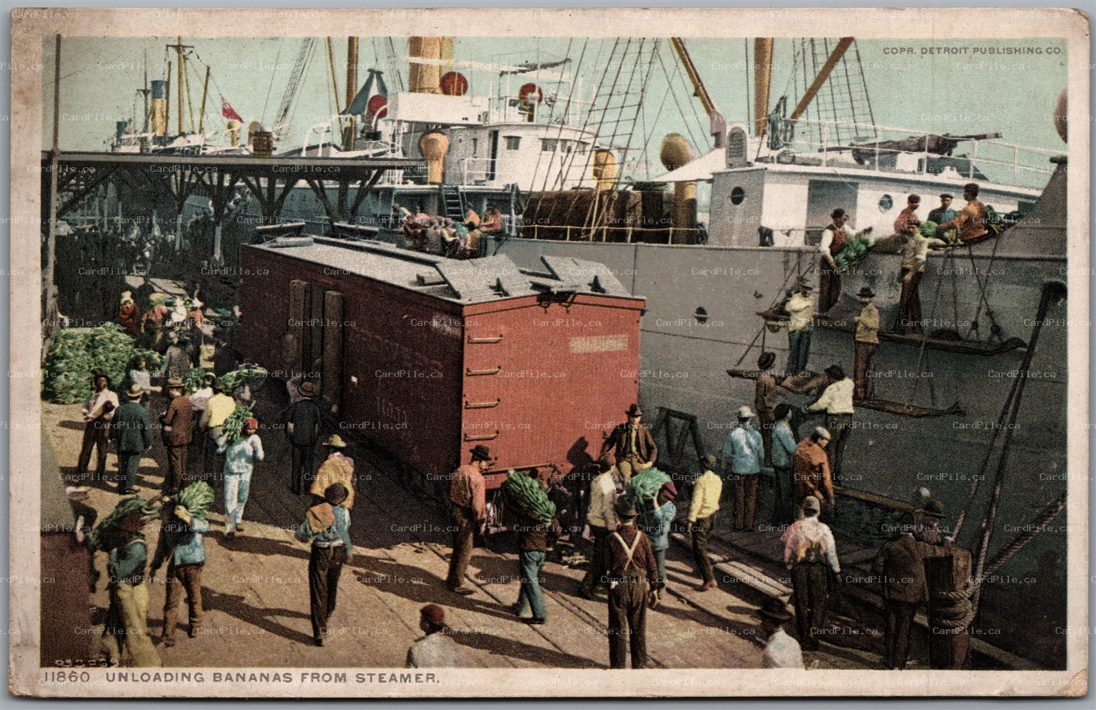 Postcard New Orleans Louisiana Unloading Bananas from Steamer Detroit Publishing