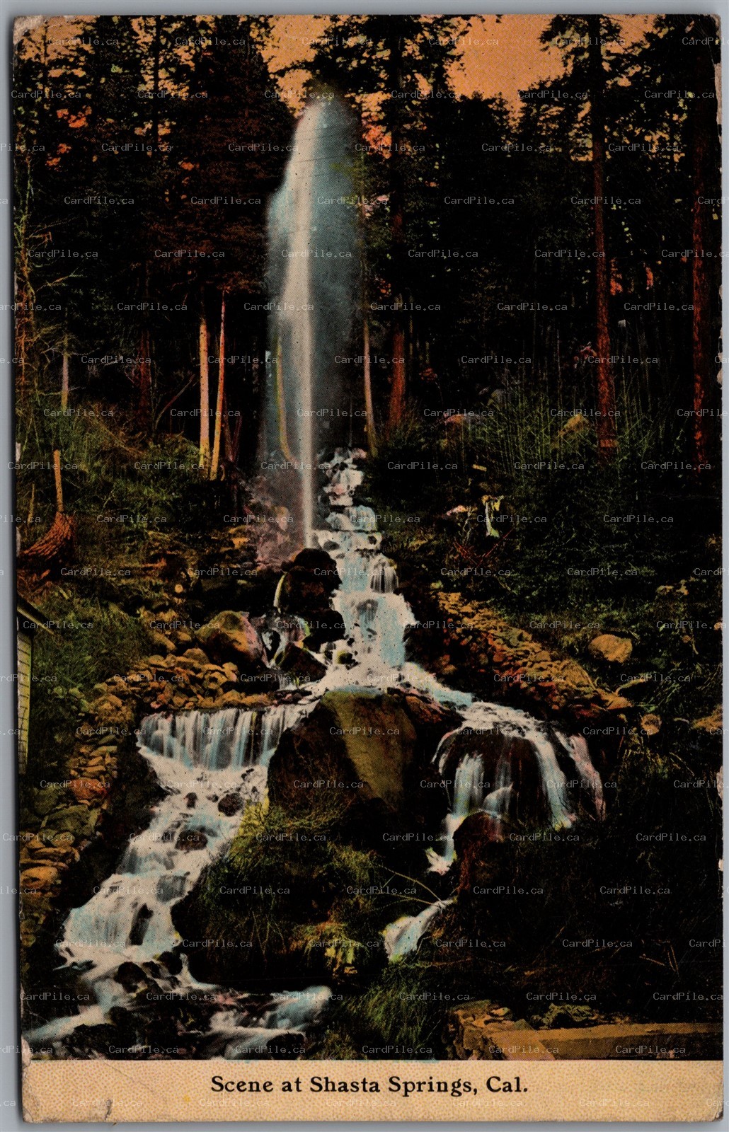 Postcard Shasta Springs California c1911 Scenic View Waterfall