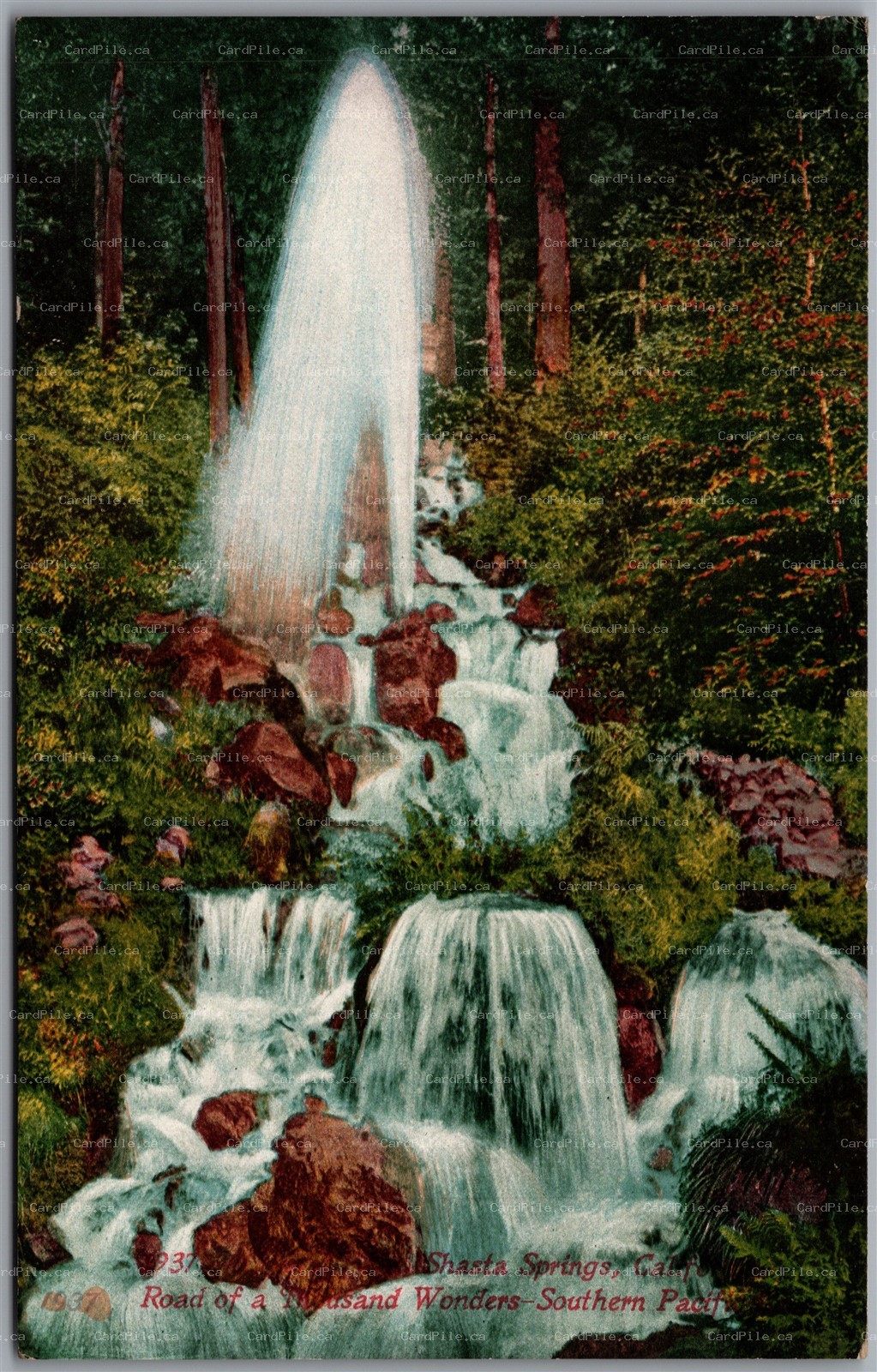 Postcard Shasta Springs California Scenic View Waterfall Edward H. Mitchell