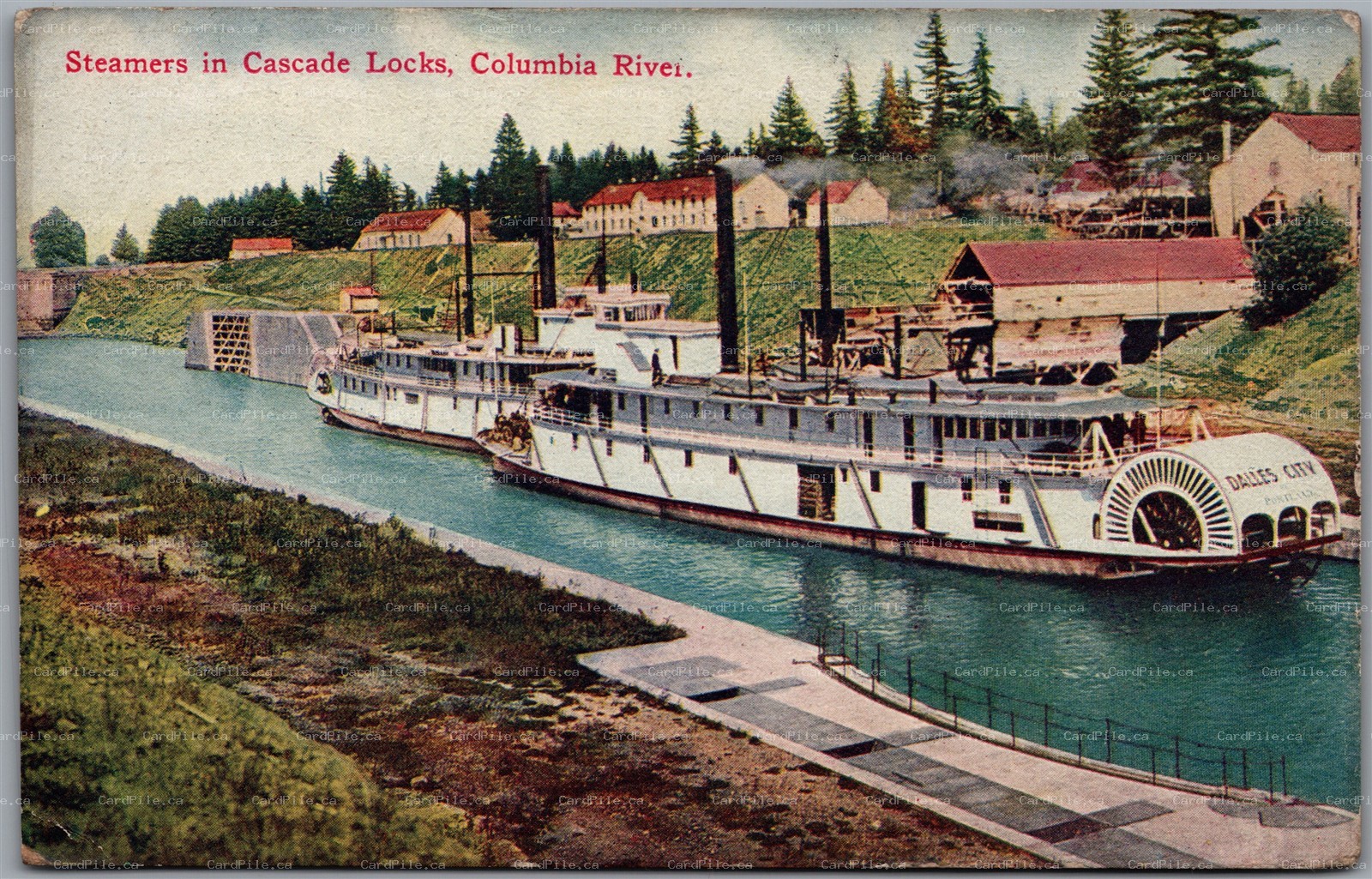 Postcard Cascade Locks Oregon c1910s Steamers Dalles City Scenic View
