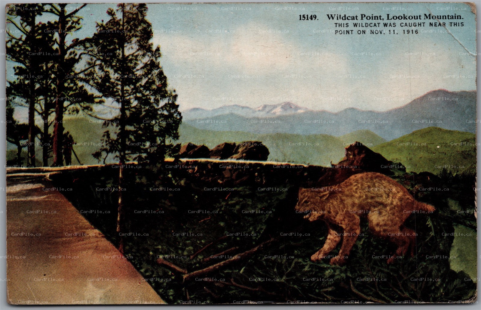 Postcard Evergreen Colorado c1910s Wildcat Point Lookout Mountain *as is*