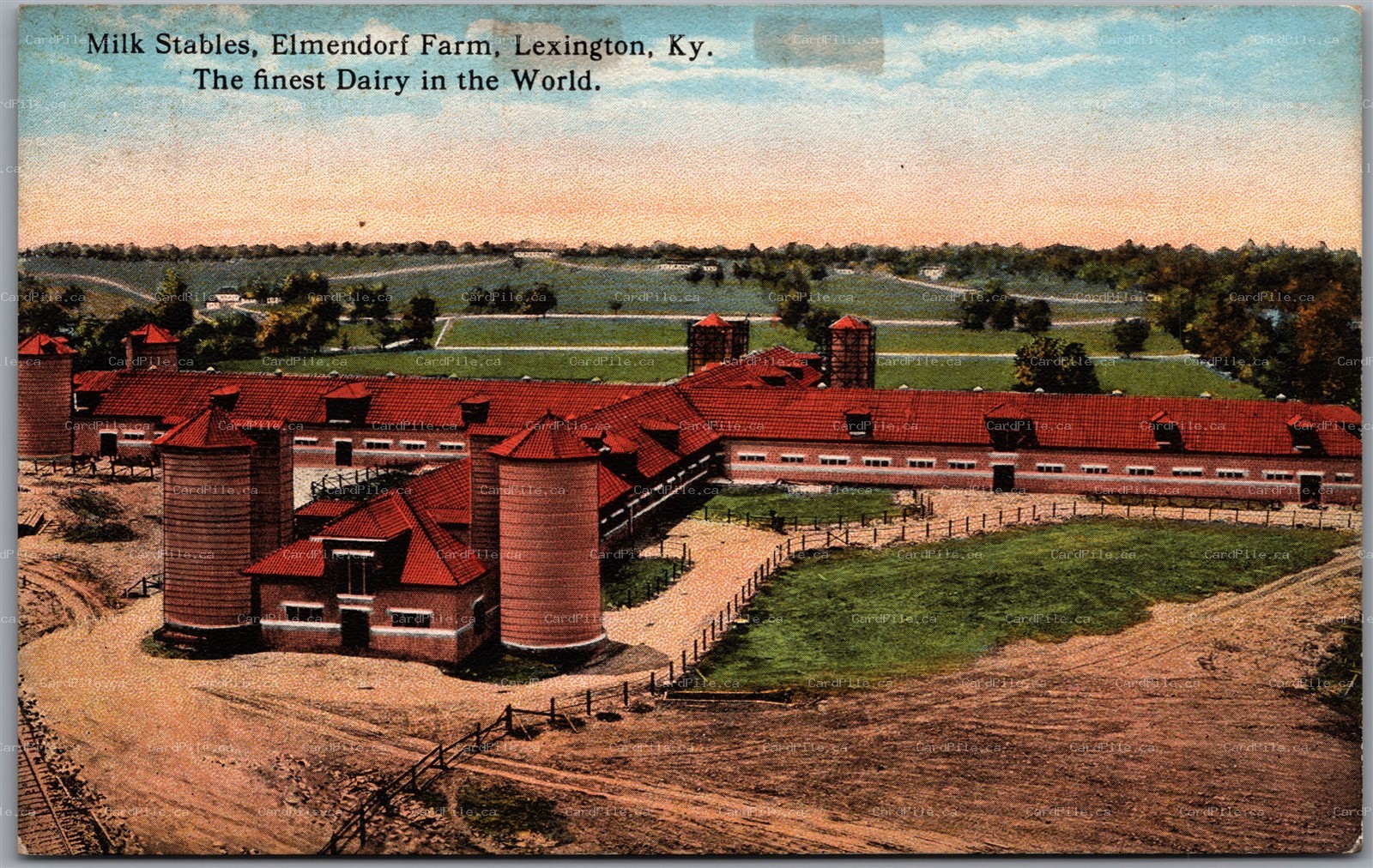 Postcard Lexington Kentucky Elmendorf Farm Dairy Milk Stables Birds Eye View