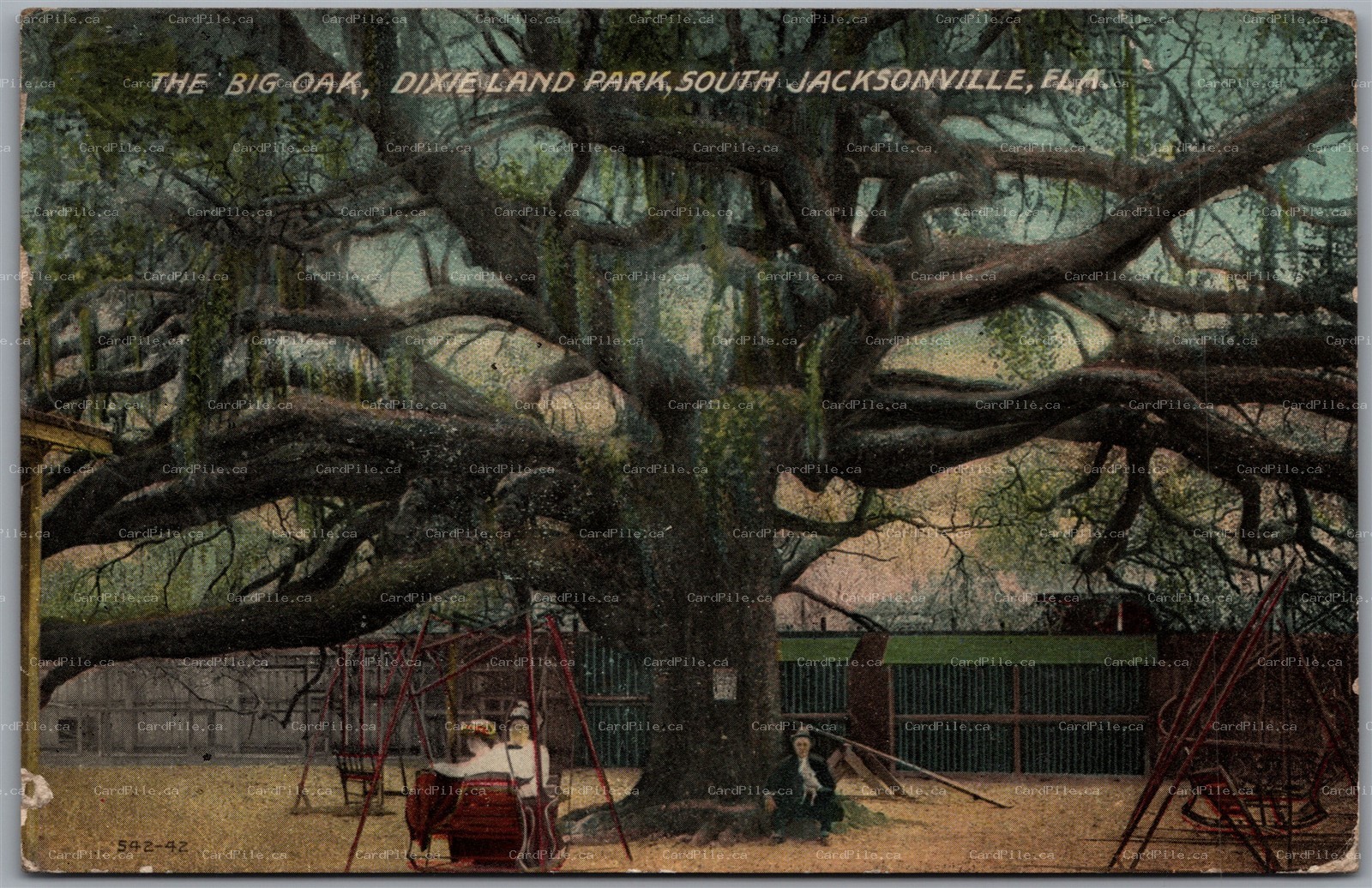 Postcard Jacksonville Florida c1918 The Big Oak Dixieland Park Playground Swings