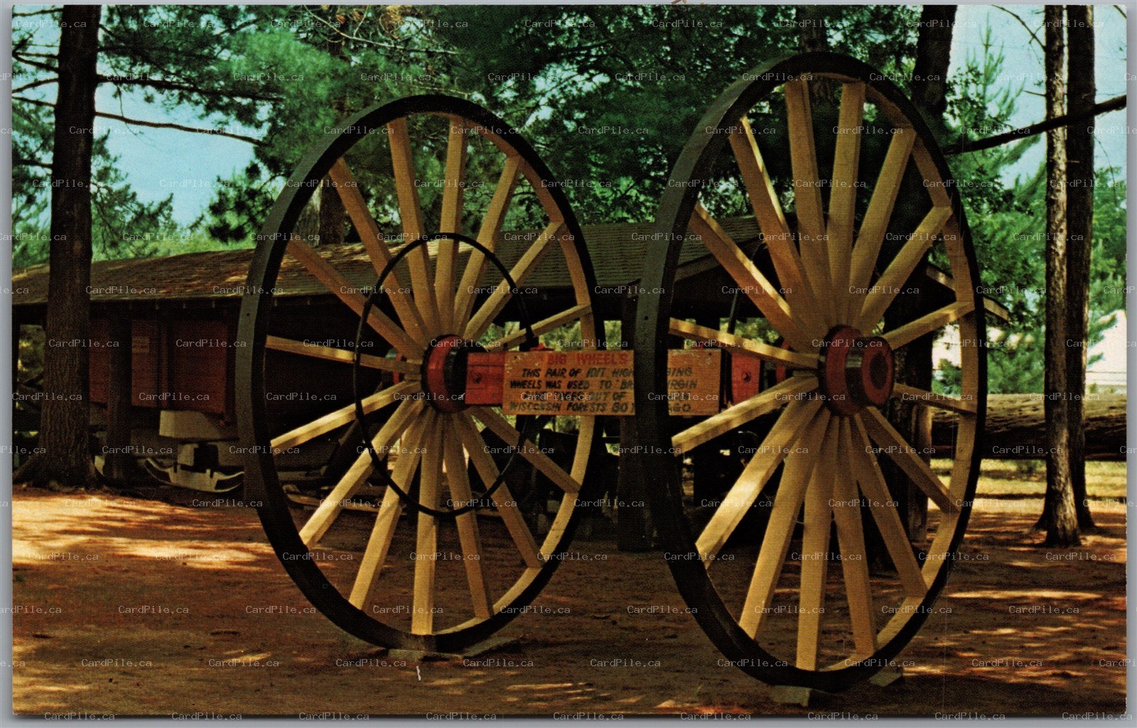 Postcard Rhinelander Wisconsin 10ft High Big Wheels Logging Museum