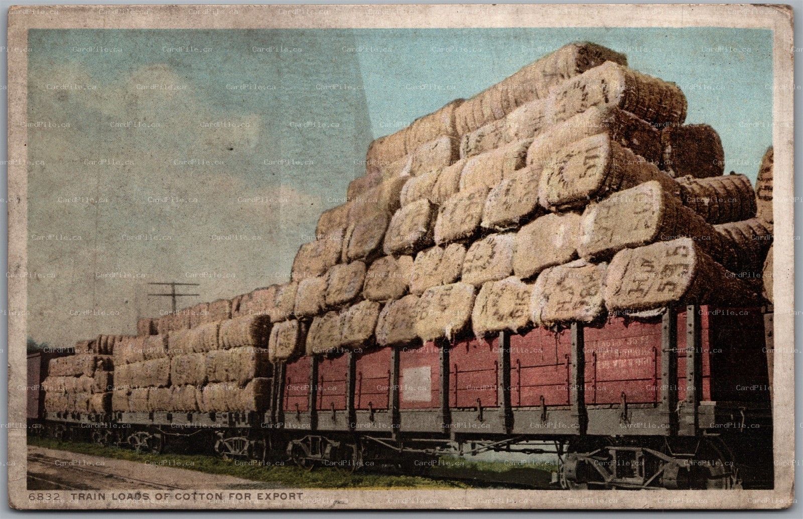 Postcard New Orleans Louisiana Train Loads of Cotton for ExporDetroit Publishing