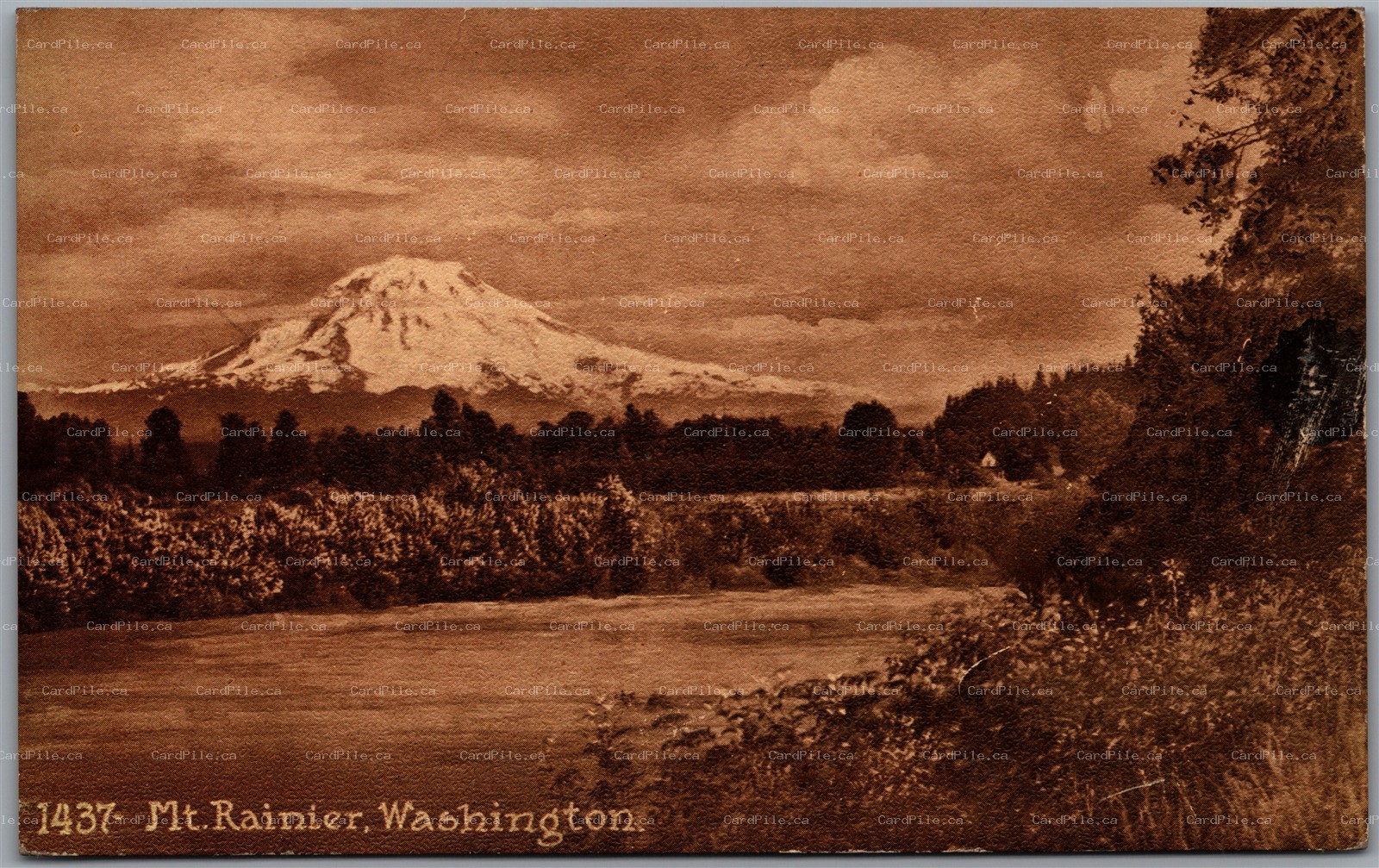 Postcard Mt. Rainier Washington 1910s Scenic View Cascades by Edward H. Mitchell