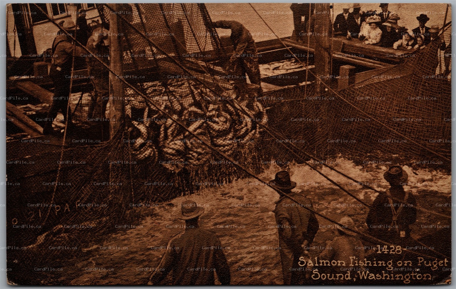 Postcard Puget Sound Washington 1910s Salmon Fishing by Edward H. Mitchell