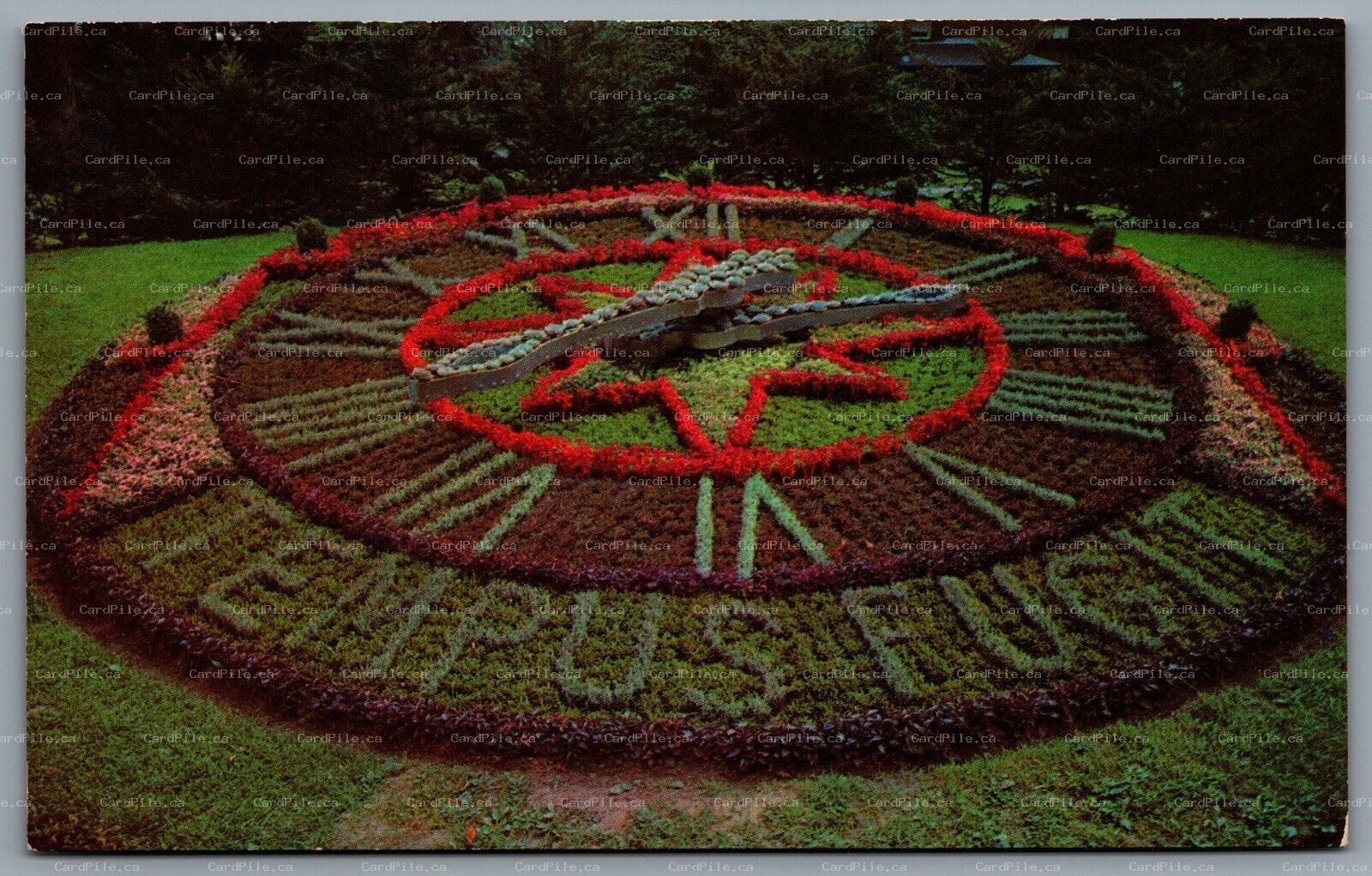Postcard Montreal Quebec c1960s Beautiful Floral Clock Westmount Park A