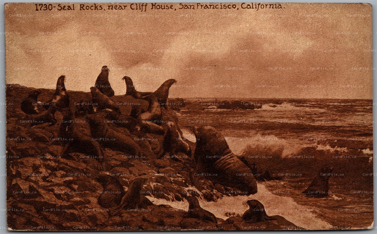 Postcard San Francisco California Seal Rocks Cliff House by Edward H. Mitchell