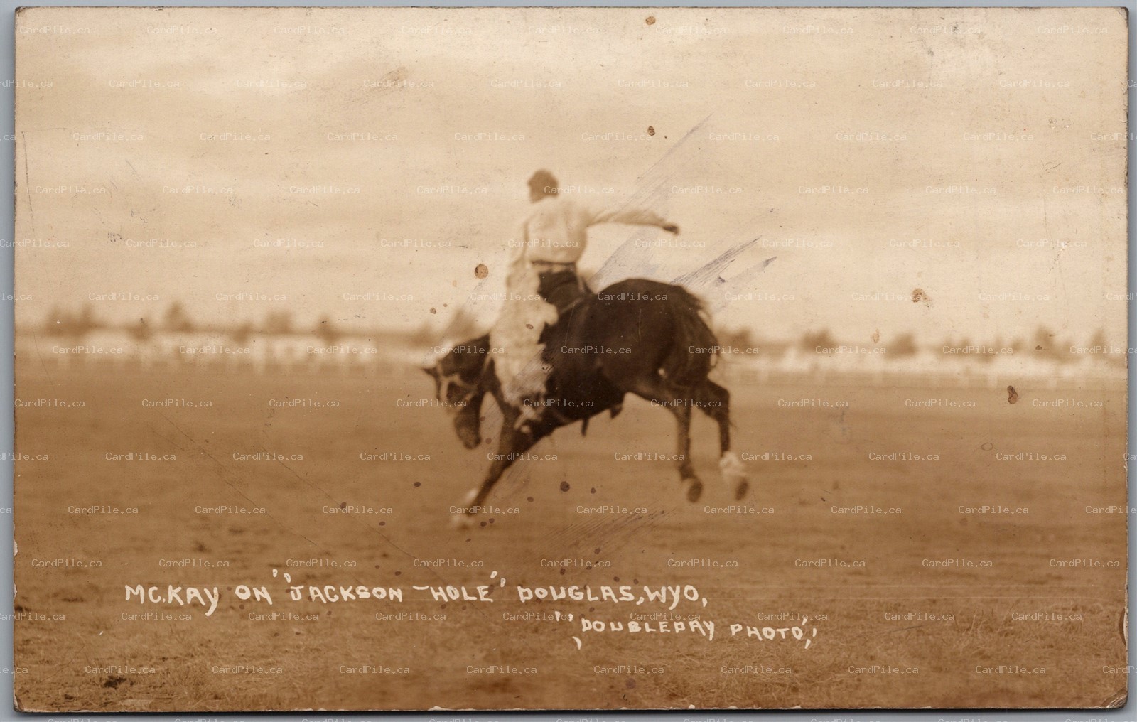 Postcard RPPC Douglas Wyoming Mc.Kay on Jackson Hole by Doubleday Photo