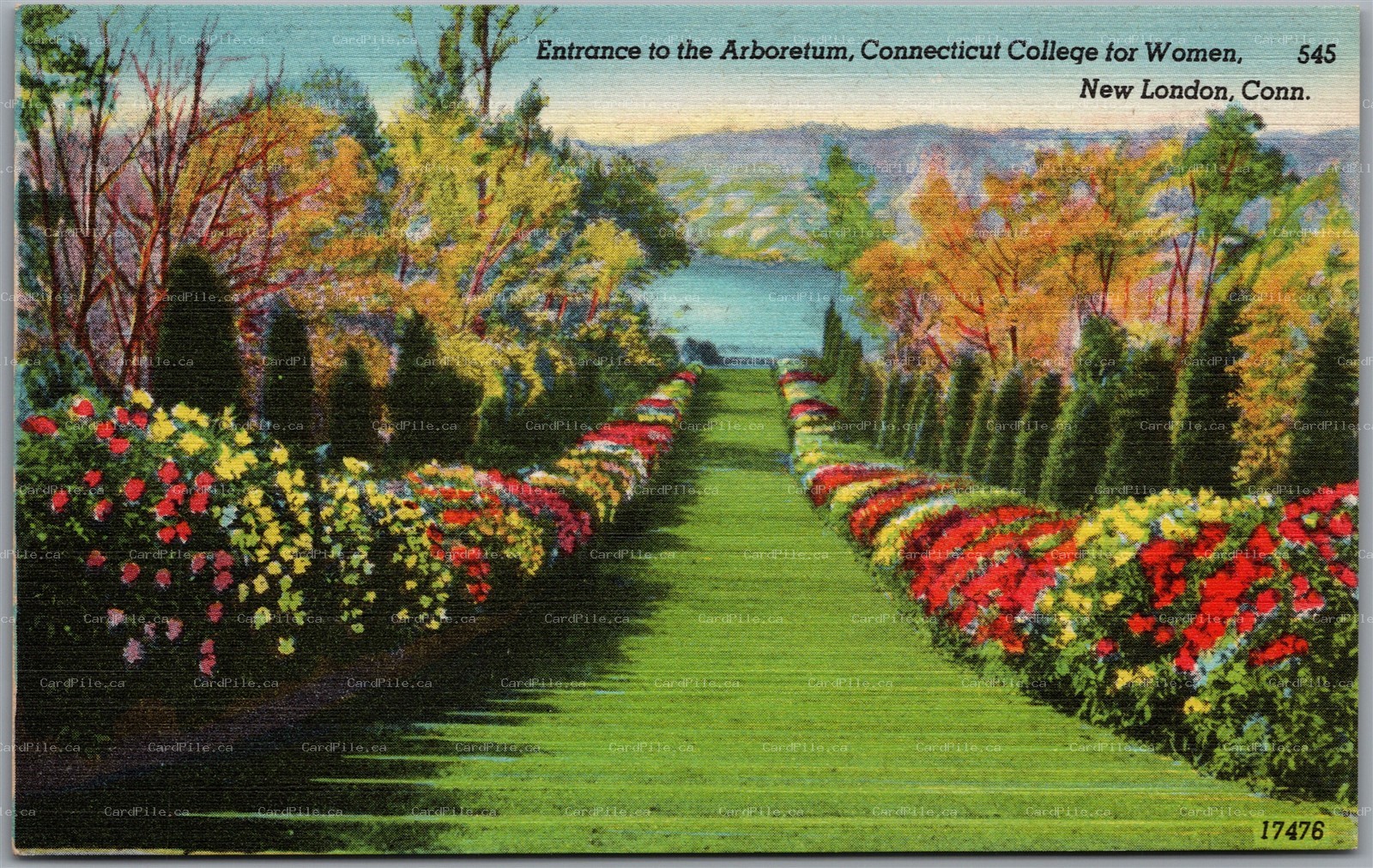 Postcard New London Connecticut College for Women Entrance to the Arboretum