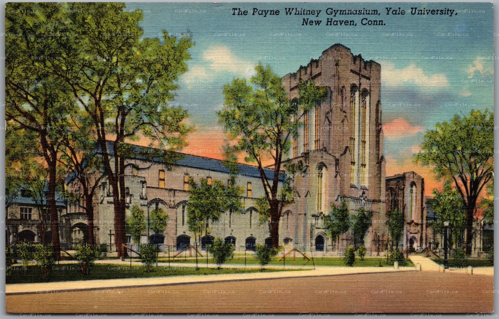 Postcard New Haven Connecticut The Payne Whitney Gymnasium Yale University